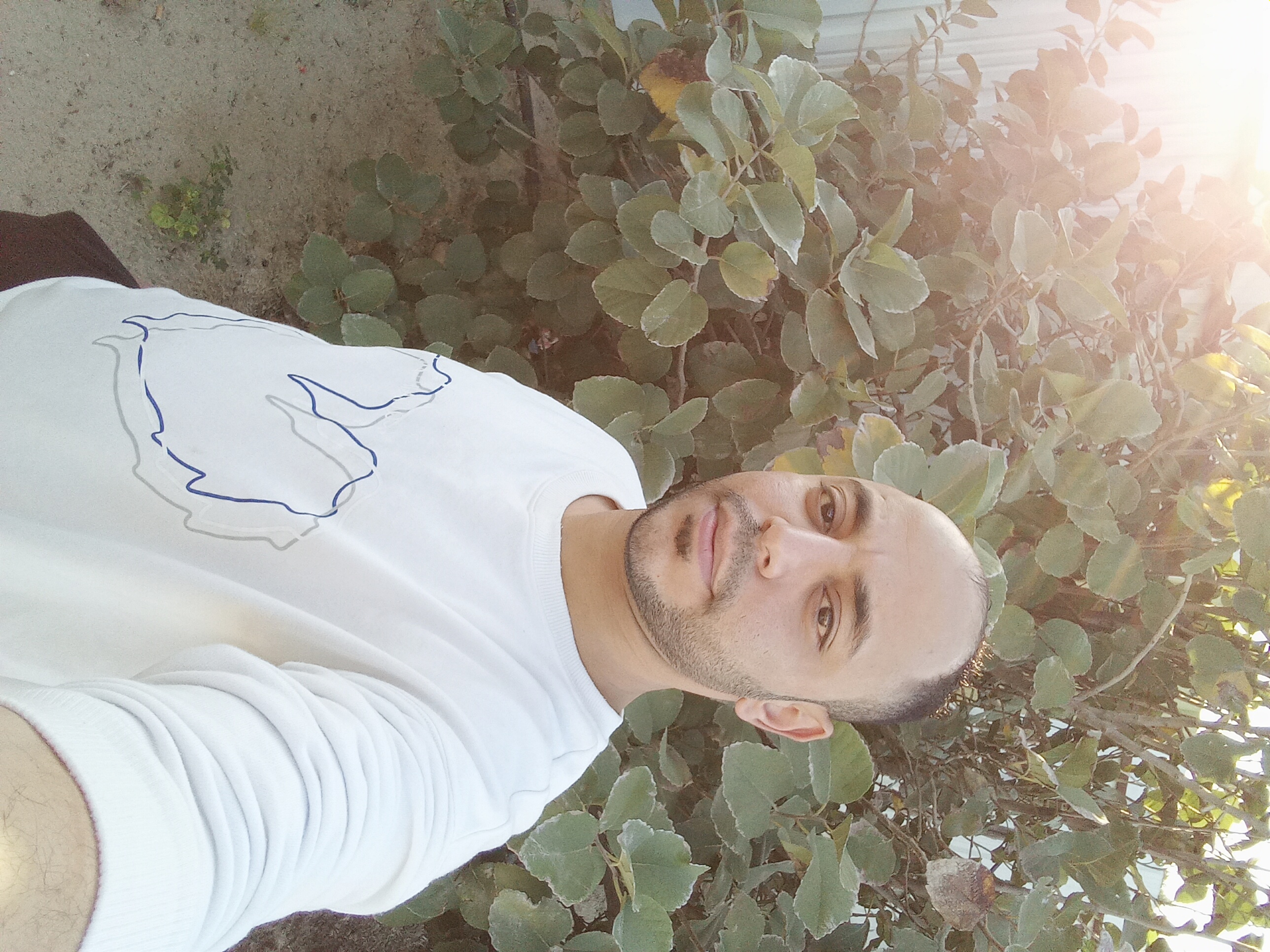 V�tre Honneur_pS00B