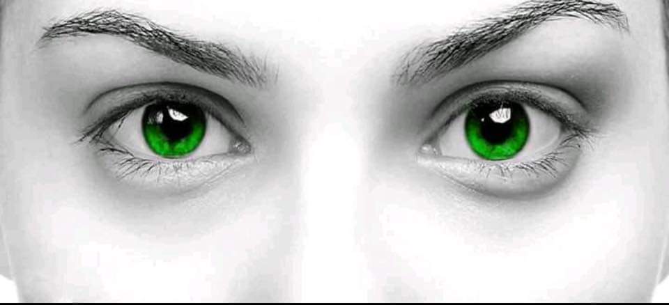 ������ ����