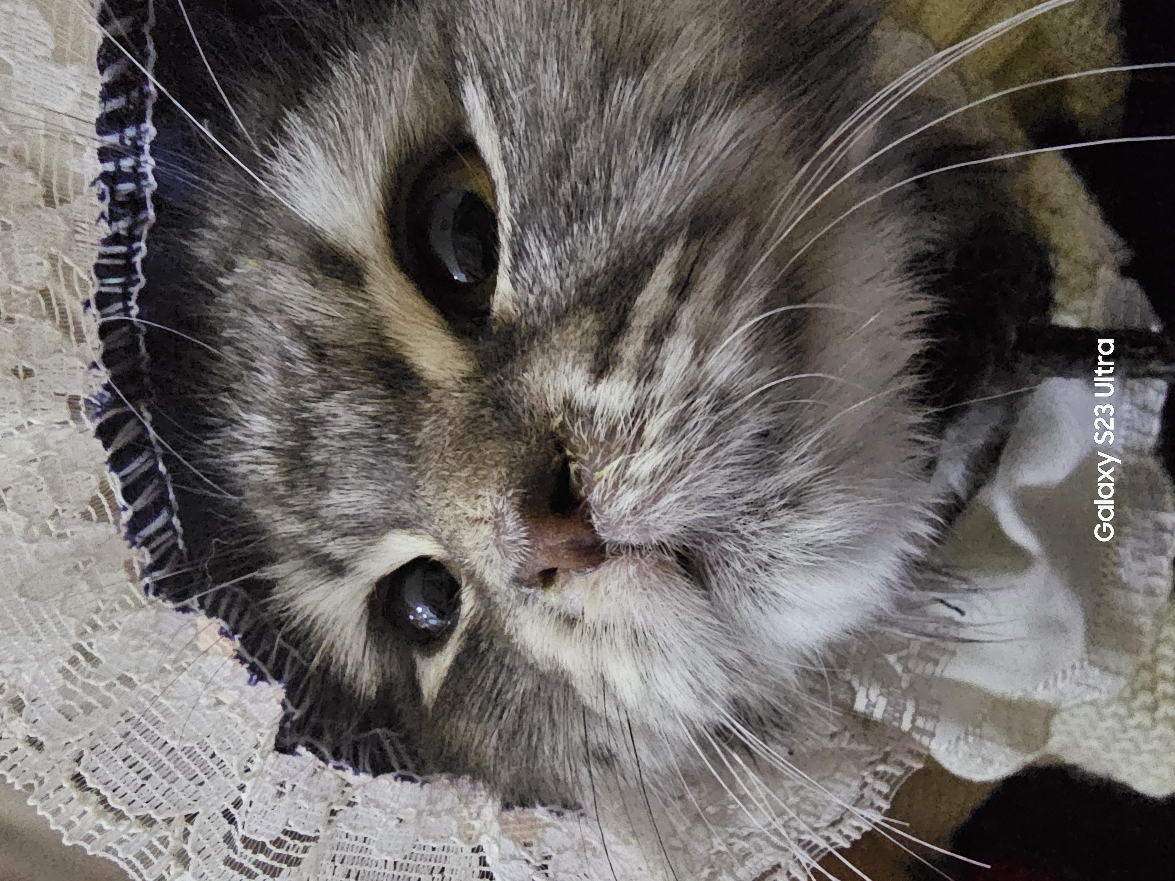 ����� ������_z3AS4