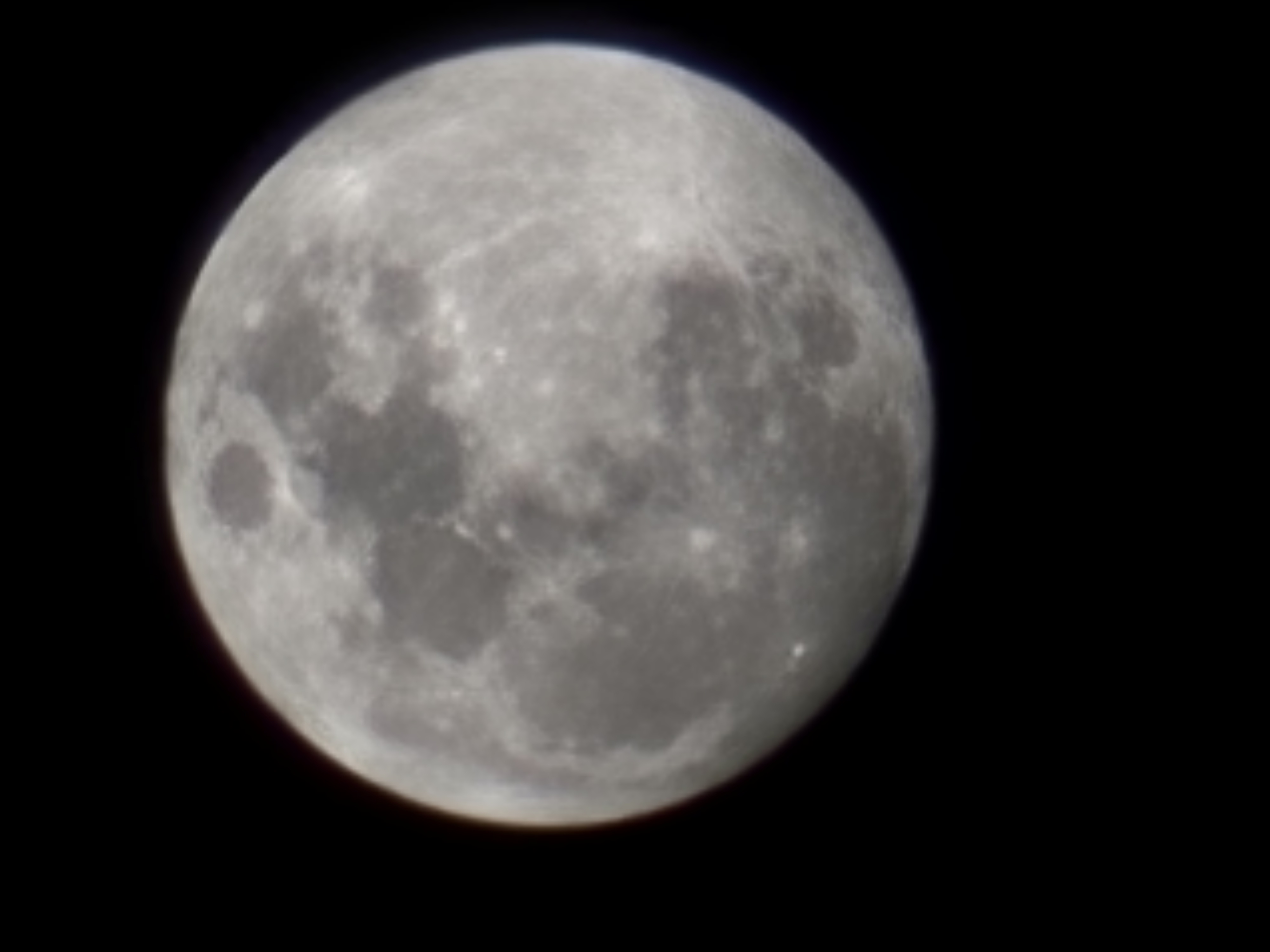 ���� ��� ������ ������_eDsgl